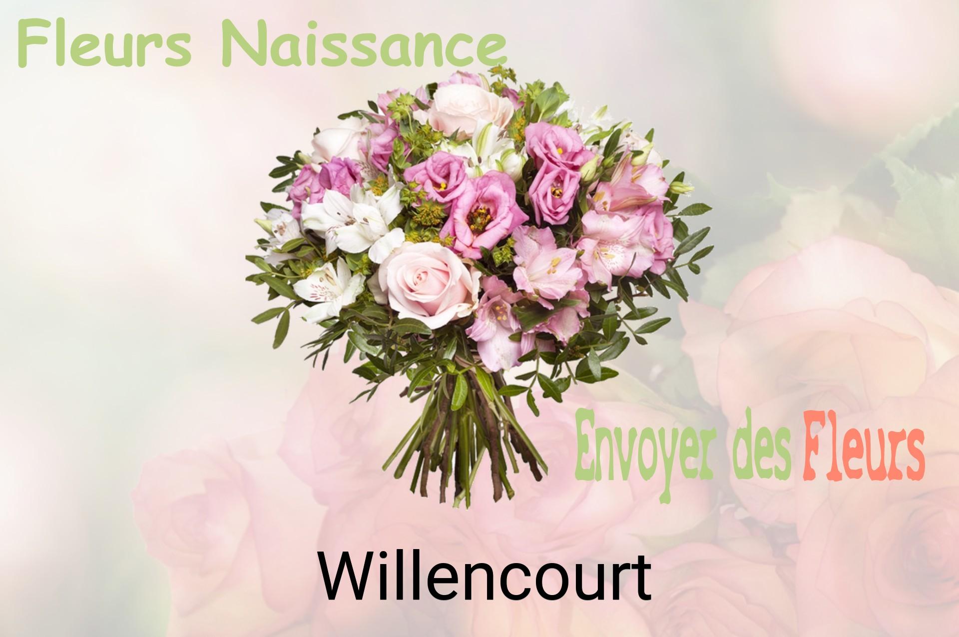 Bouquet de fleurs de naissance livré à Willencourt